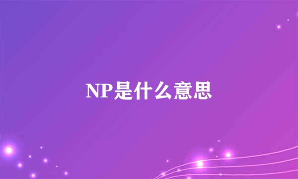 NP是什么意思