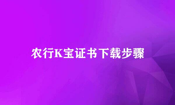 农行K宝证书下载步骤