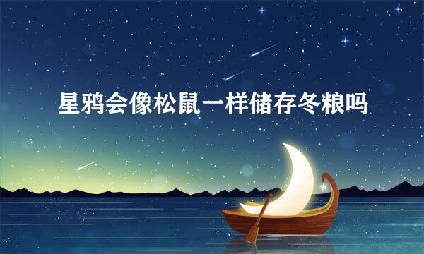 星鸦会像松鼠一样储存冬粮吗