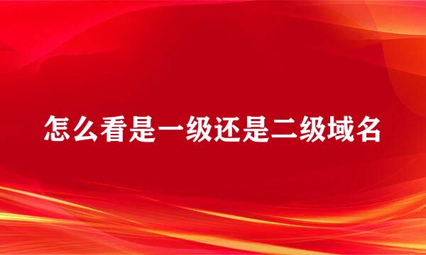 怎么看是一级还是二级域名