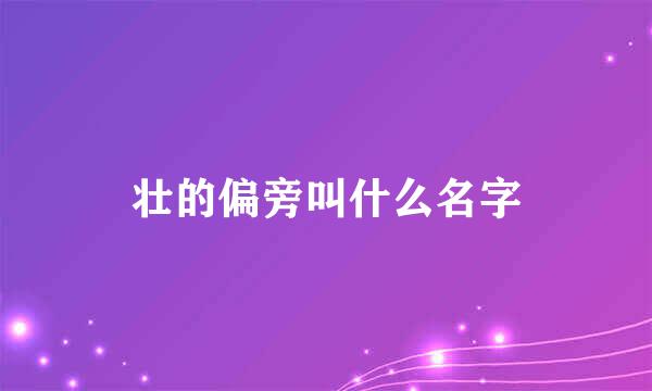 壮的偏旁叫什么名字