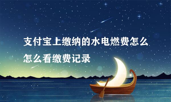 支付宝上缴纳的水电燃费怎么怎么看缴费记录