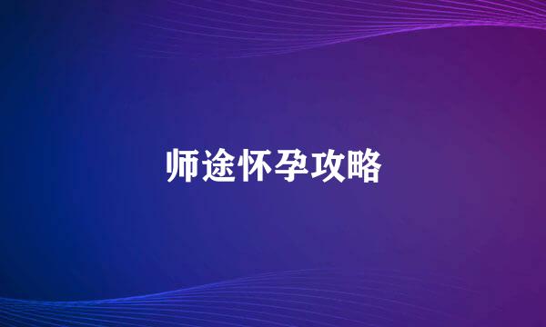 师途怀孕攻略