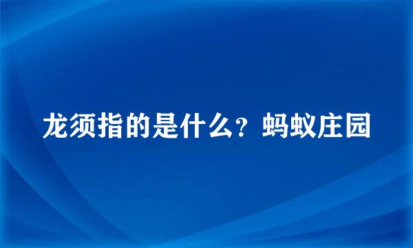 龙须指的是什么？蚂蚁庄园
