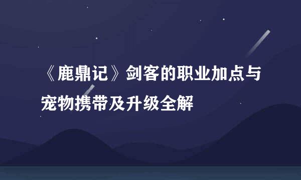 《鹿鼎记》剑客的职业加点与宠物携带及升级全解