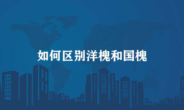 如何区别洋槐和国槐