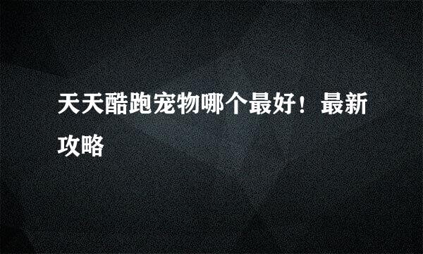 天天酷跑宠物哪个最好!最新攻略