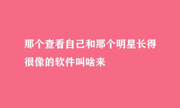 那个查看自己和那个明星长得很像的软件叫啥来