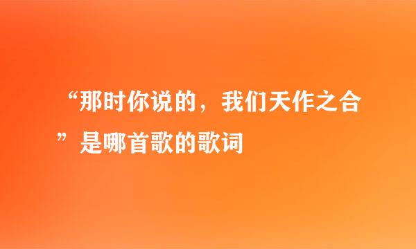 “那时你说的，我们天作之合”是哪首歌的歌词