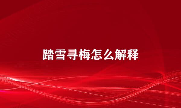 踏雪寻梅怎么解释