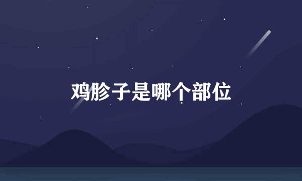 鸡胗子是哪个部位