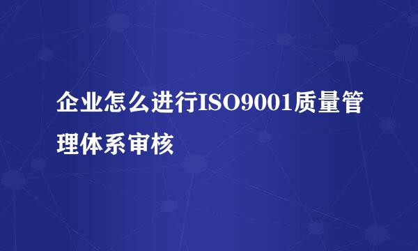 企业怎么进行ISO9001质量管理体系审核