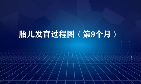 胎儿发育过程图（第9个月）