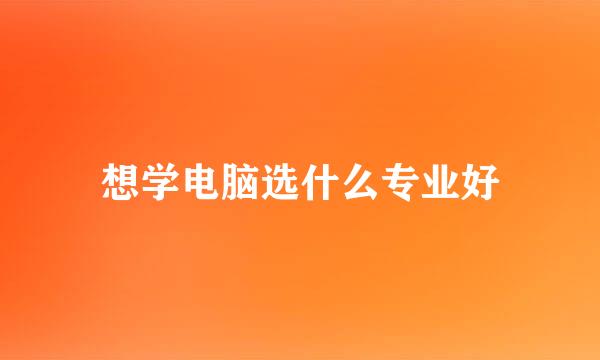 想学电脑选什么专业好