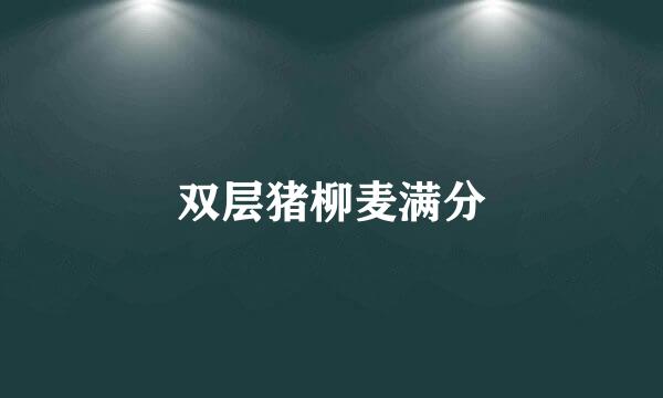 双层猪柳麦满分