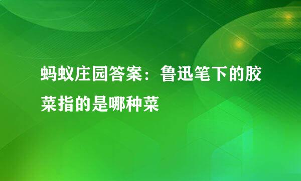 蚂蚁庄园答案：鲁迅笔下的胶菜指的是哪种菜
