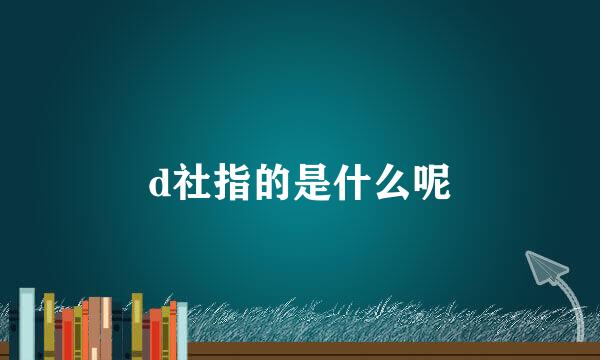 d社指的是什么呢