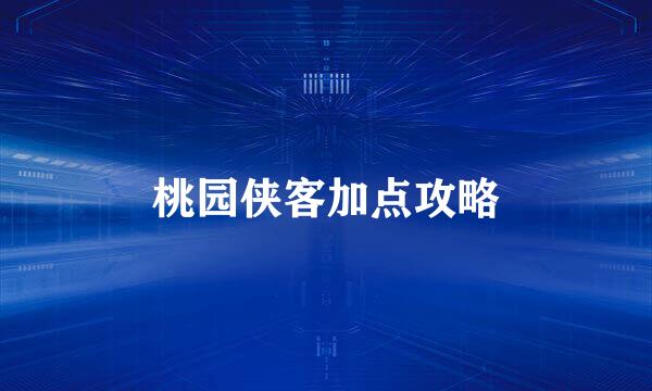 桃园侠客加点攻略