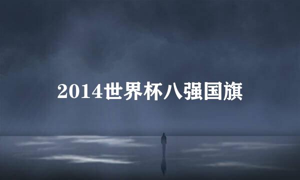 2014世界杯八强国旗