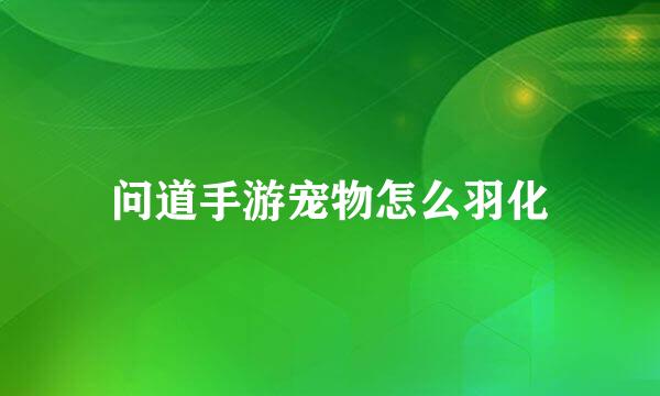 问道手游宠物怎么羽化