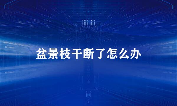 盆景枝干断了怎么办