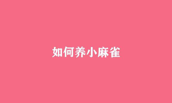 如何养小麻雀