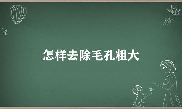 怎样去除毛孔粗大