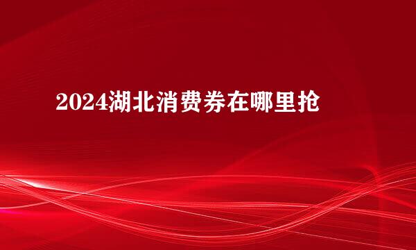 2024湖北消费券在哪里抢