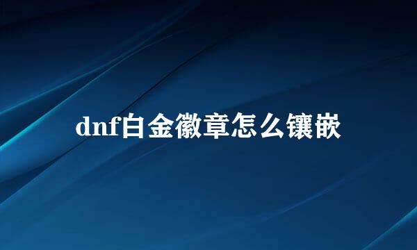 dnf白金徽章怎么镶嵌
