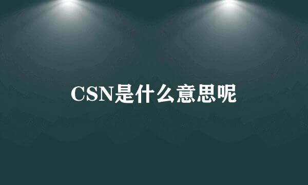 CSN是什么意思呢