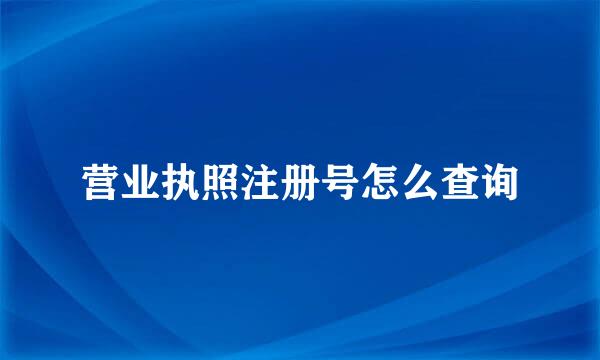 营业执照注册号怎么查询