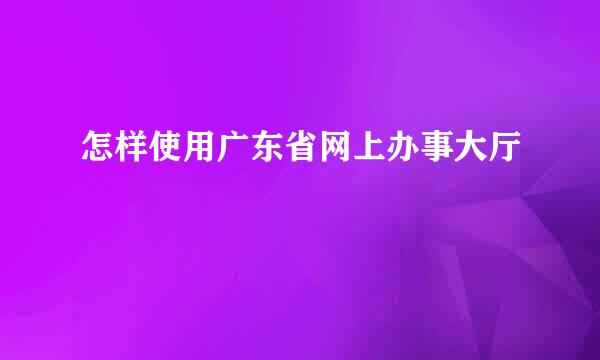怎样使用广东省网上办事大厅