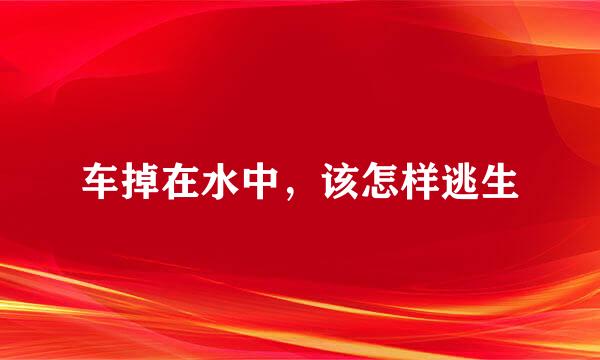 车掉在水中，该怎样逃生