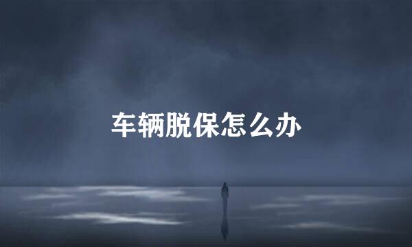 车辆脱保怎么办