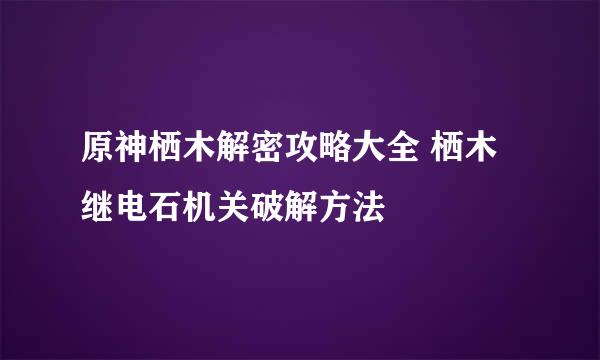 原神栖木解密攻略大全 栖木继电石机关破解方法
