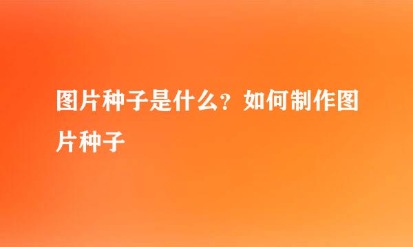 图片种子是什么？如何制作图片种子