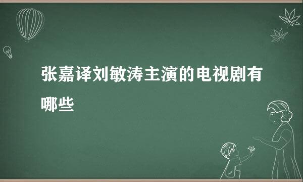 张嘉译刘敏涛主演的电视剧有哪些