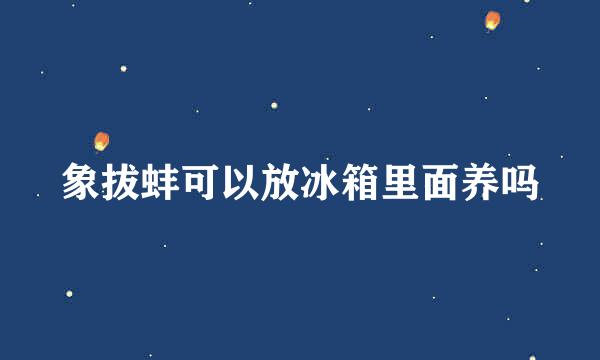 象拔蚌可以放冰箱里面养吗