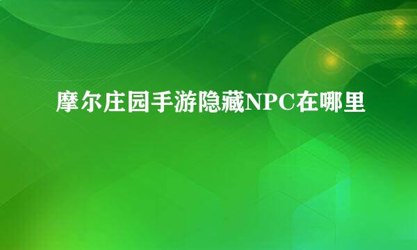 摩尔庄园手游隐藏NPC在哪里