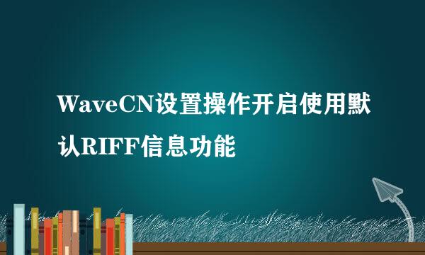 WaveCN设置操作开启使用默认RIFF信息功能