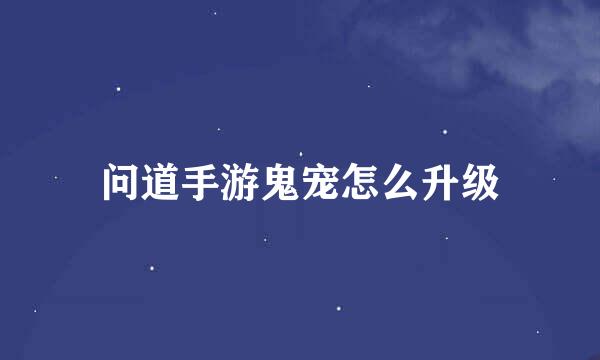 问道手游鬼宠怎么升级