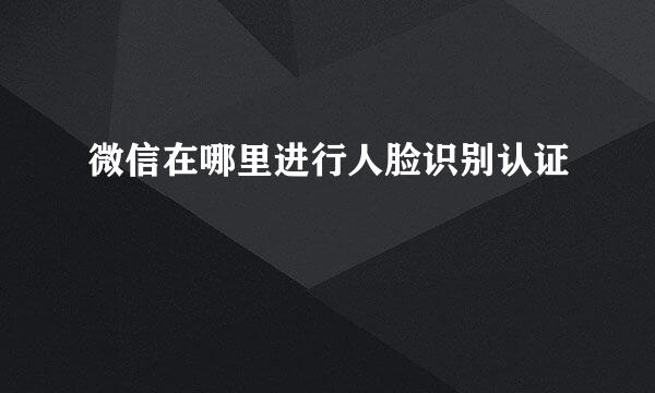 微信在哪里进行人脸识别认证
