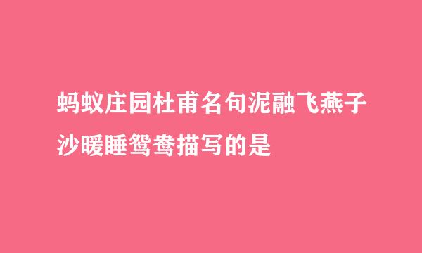 蚂蚁庄园杜甫名句泥融飞燕子沙暖睡鸳鸯描写的是