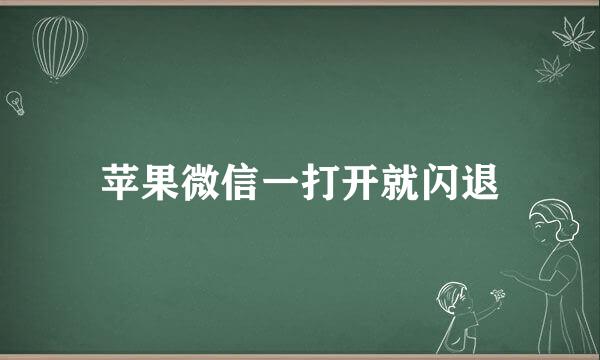 苹果微信一打开就闪退
