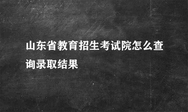 山东省教育招生考试院怎么查询录取结果