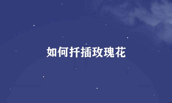 如何扦插玫瑰花