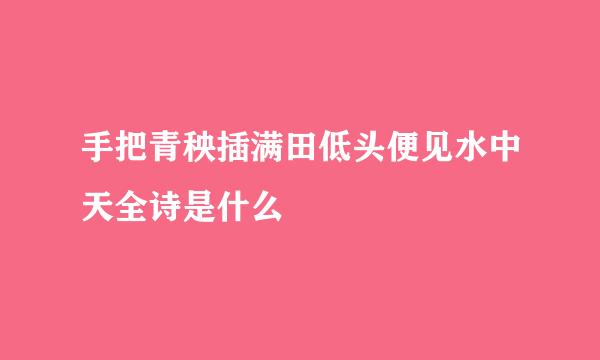 手把青秧插满田低头便见水中天全诗是什么