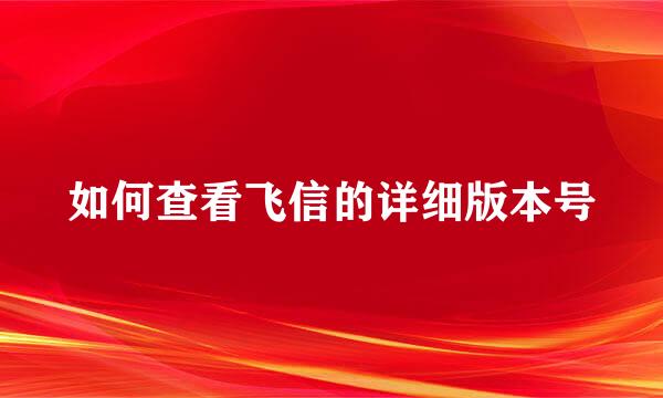 如何查看飞信的详细版本号