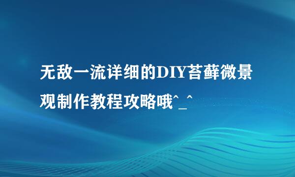 无敌一流详细的DIY苔藓微景观制作教程攻略哦^_^