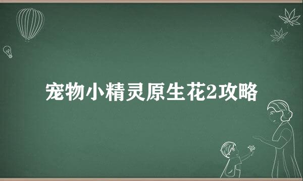 宠物小精灵原生花2攻略